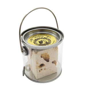 Oolite Limestone Coral Rock